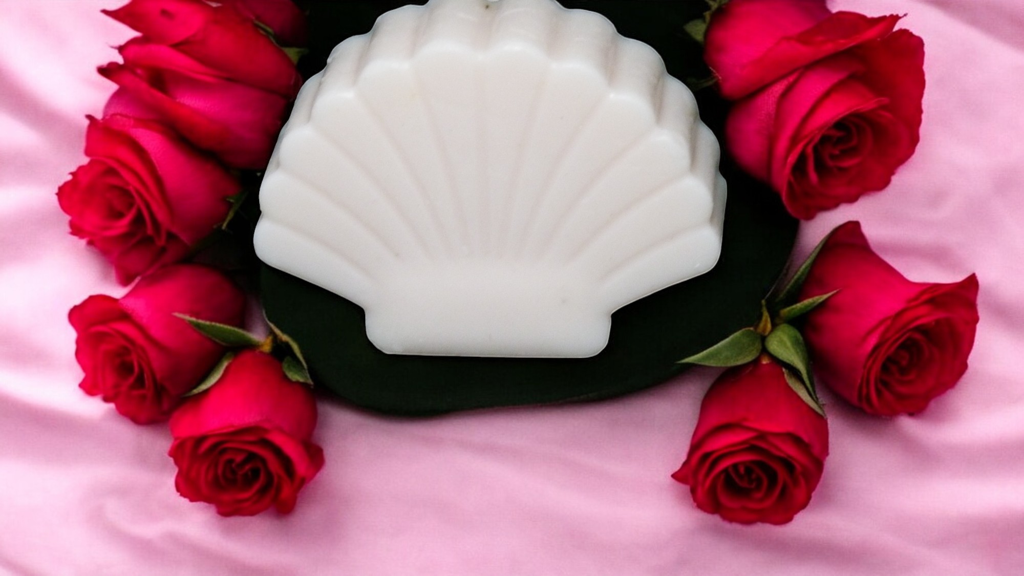 Schelp Zeepje (image for) Schelp Zeepje