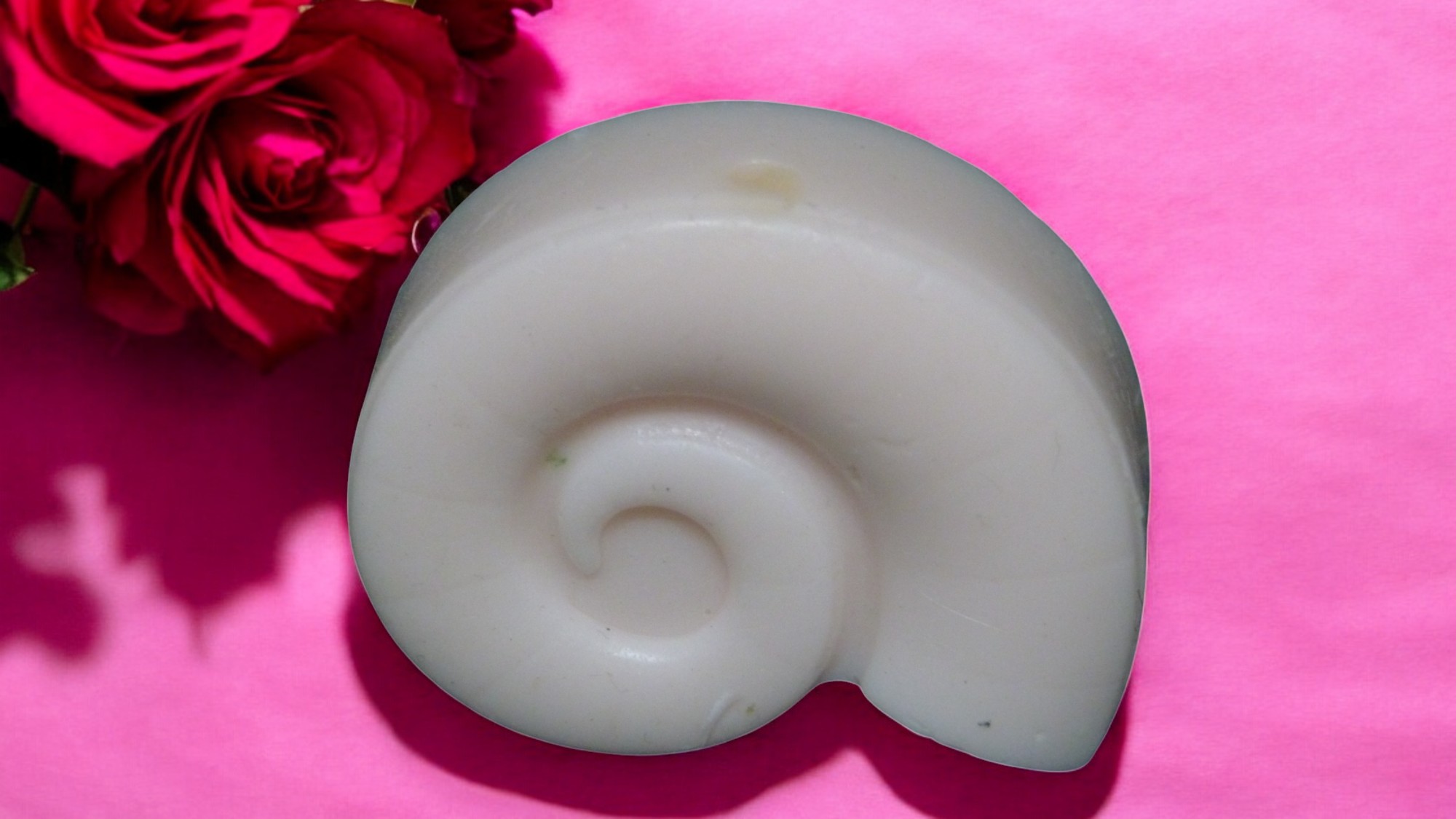 Grote Schelp Zeepje (image for) Grote Schelp Zeepje