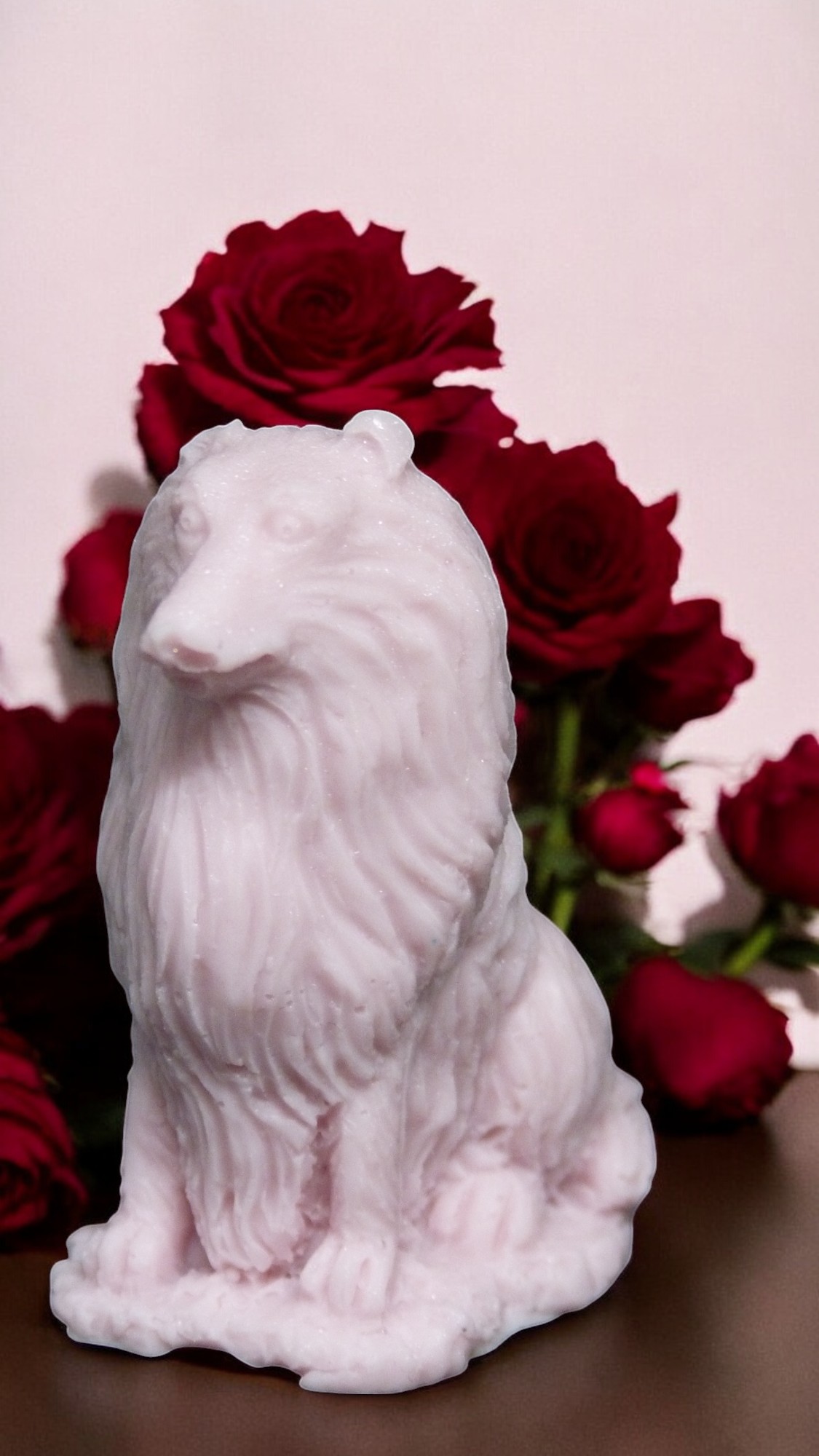 Schotse herdershond (Collie) Zeepje Klein (image for) Schotse herdershond (Collie) Zeepje Klein