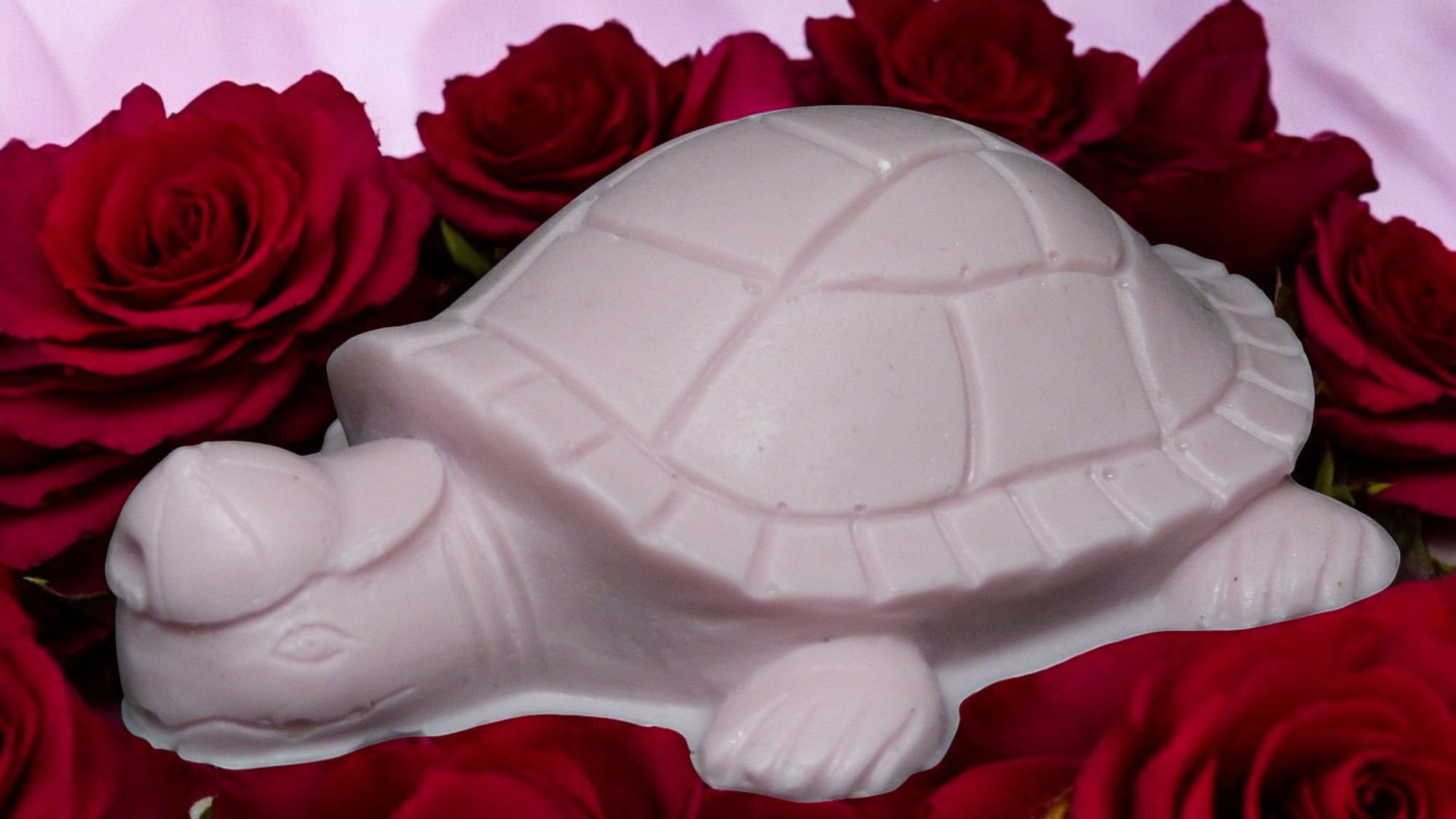 Schildpad met Pet Zeepje (image for) Schildpad met Pet Zeepje