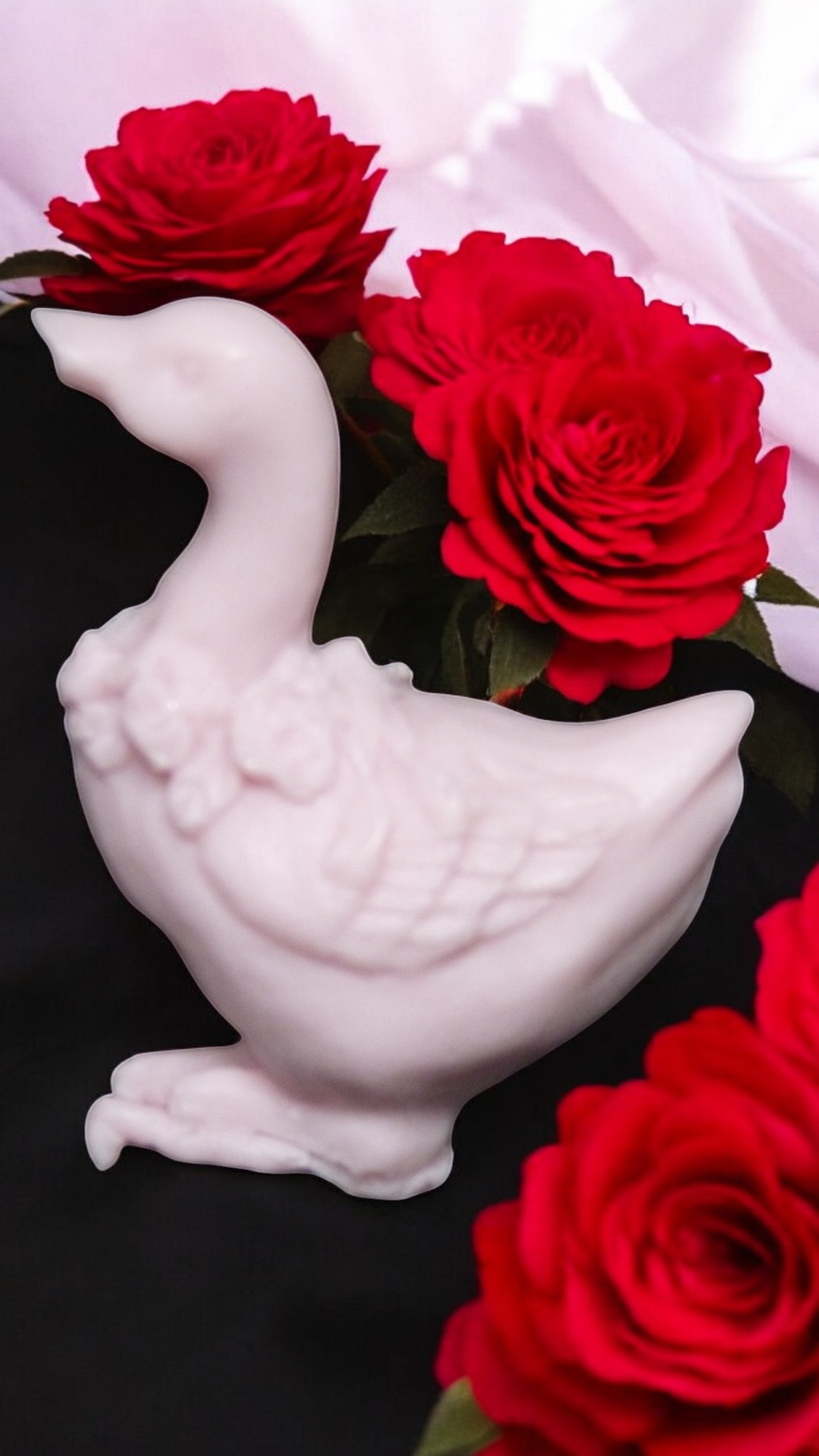 Gansje Zeepje (image for) Gansje Zeepje