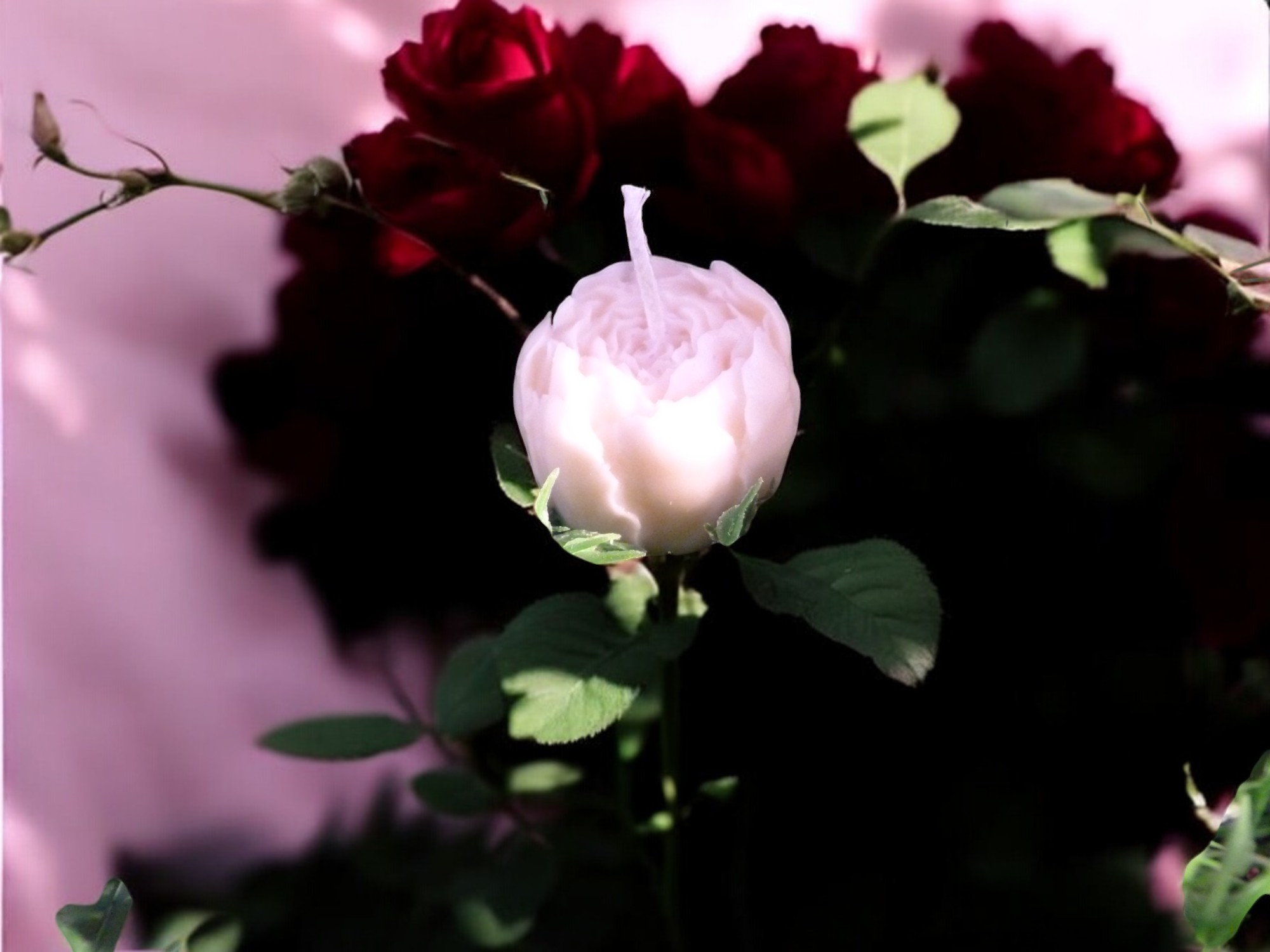 Kleine Pioenroos Kaars Nr 2 (image for) Kleine Pioenroos Kaars Nr 2