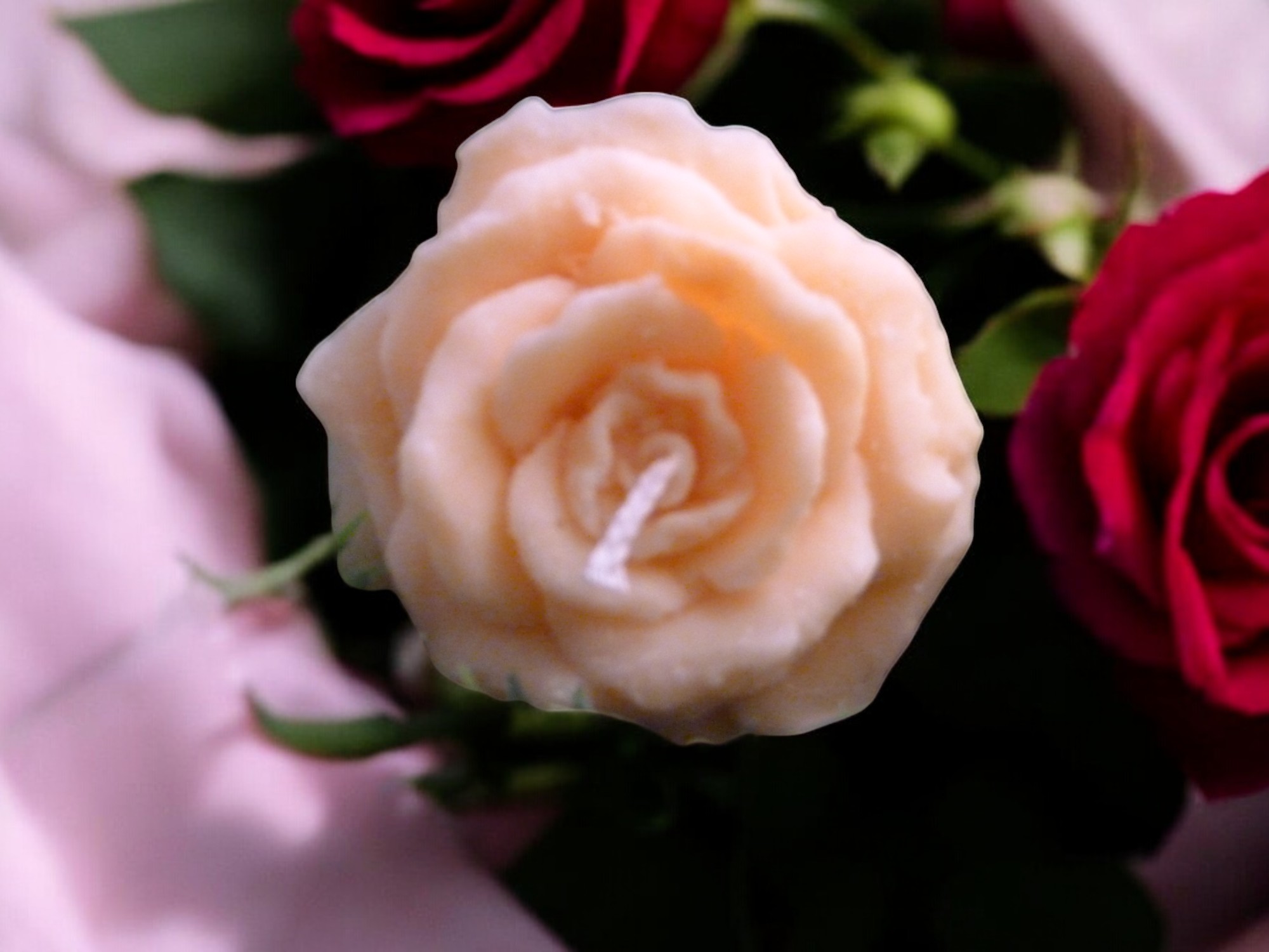 Roosje Middelmaat Kaars Nr 1 (image for) Roosje Middelmaat Kaars Nr 1