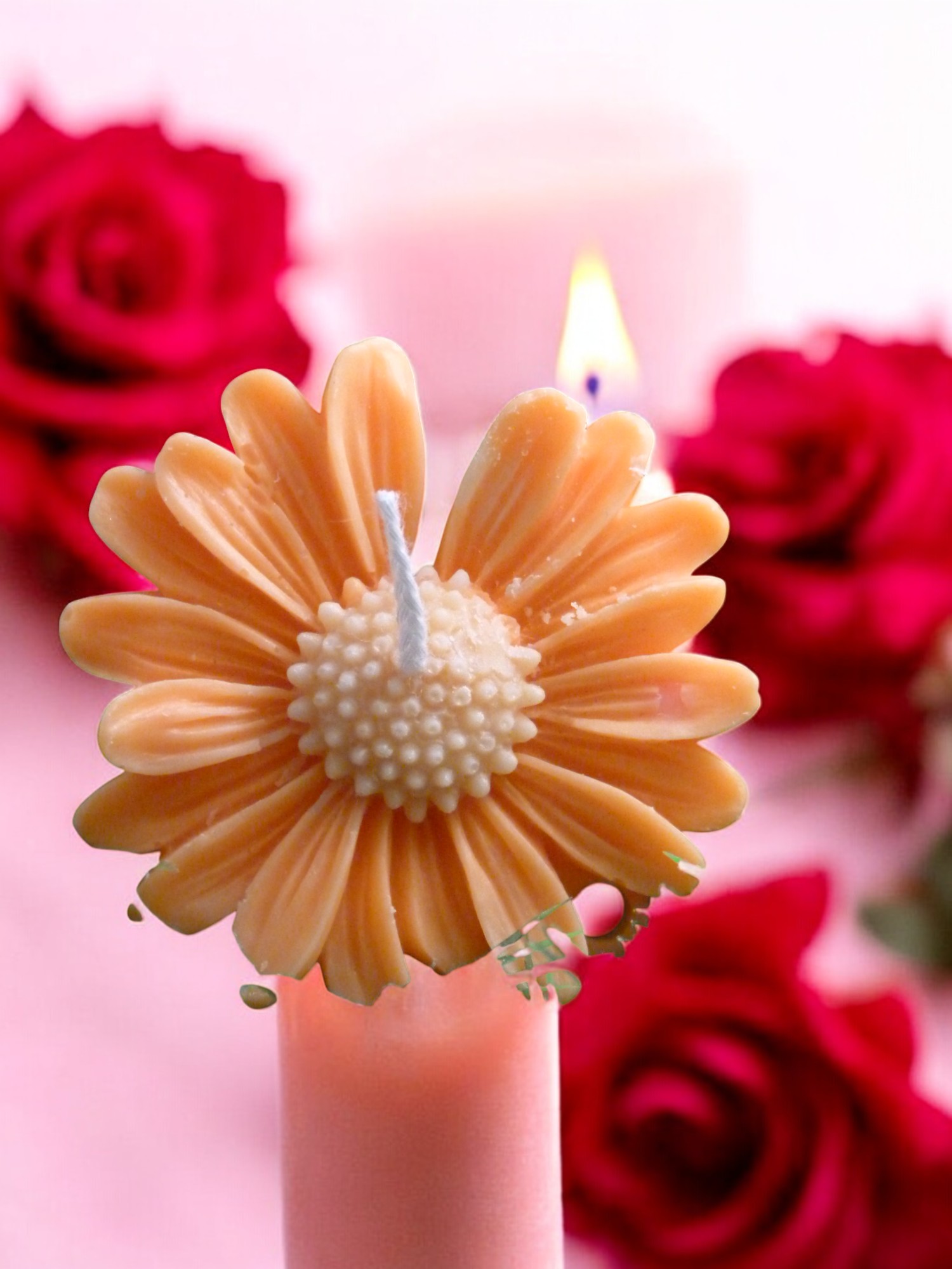 Margriet Kaars (image for) Margriet Kaars