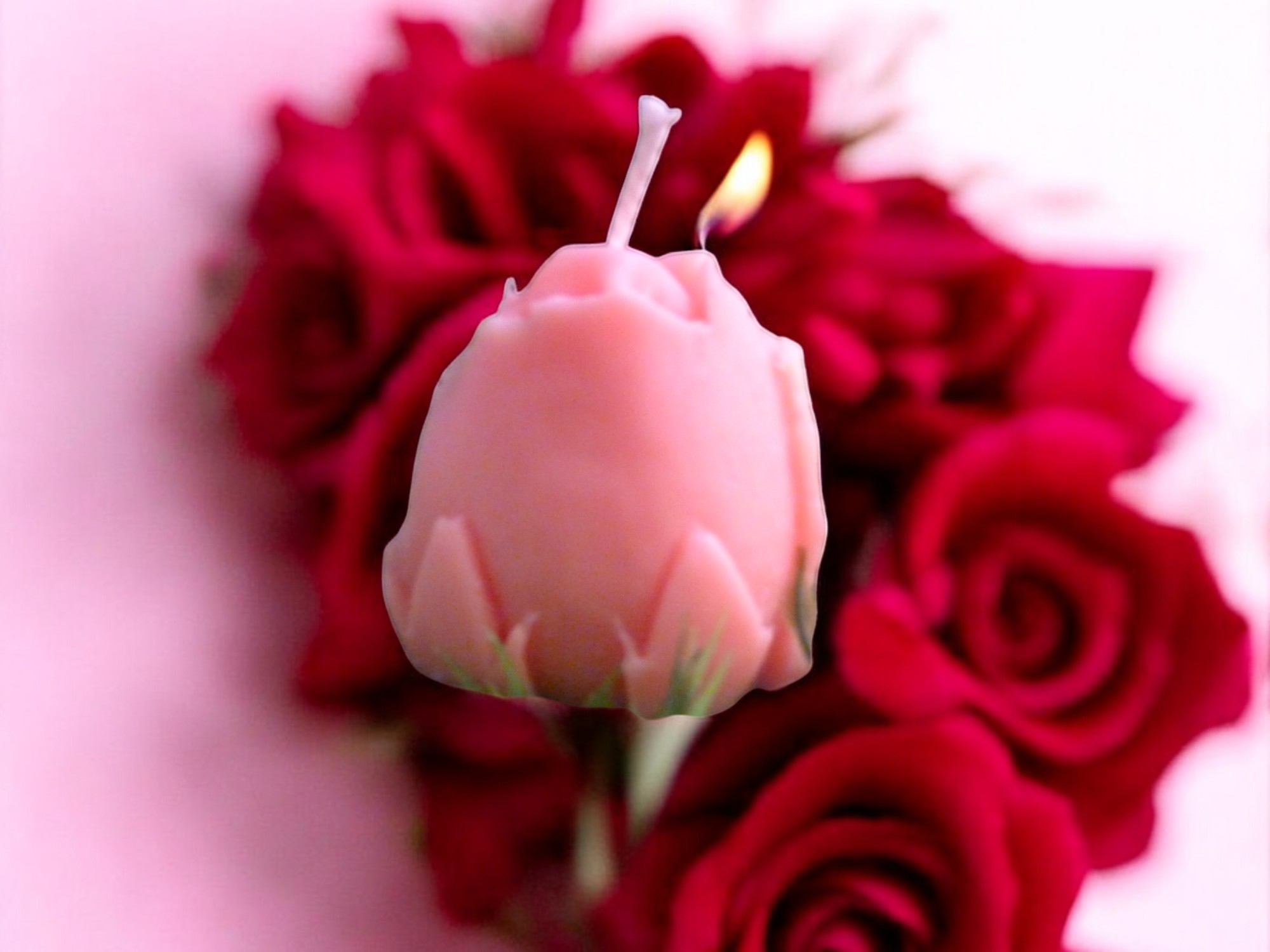 Rozen Knop Kaars (image for) Rozen Knop Kaars