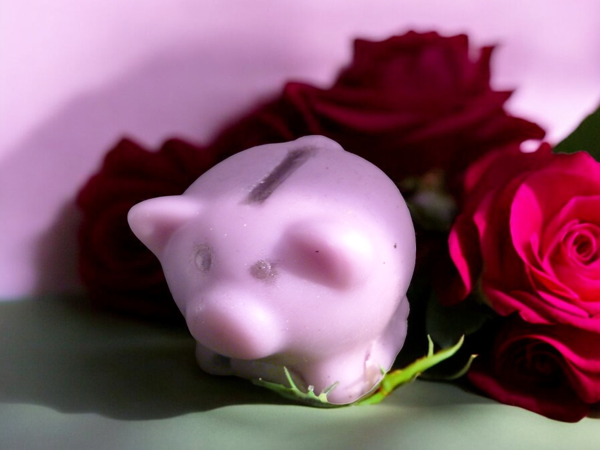 Spaarvarken Zeepje met Mica (image for) Spaarvarken Zeepje met Mica